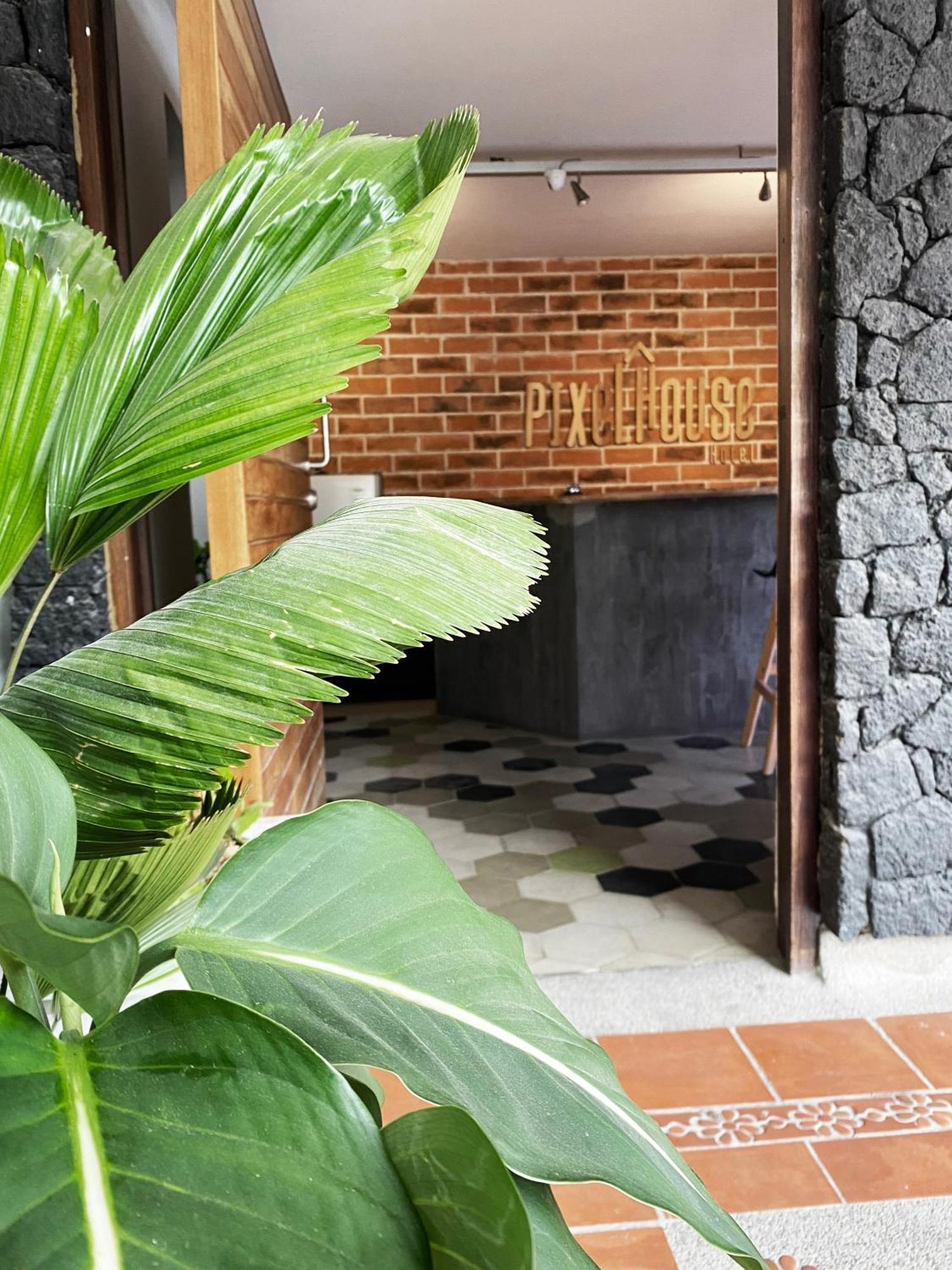 Ayenda 1224 Pixel House (Adults Only) Hotel Medellin Ngoại thất bức ảnh